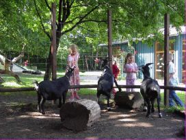 Kindergarten Dünenweg eV. - Gemeinde Klein Nordende